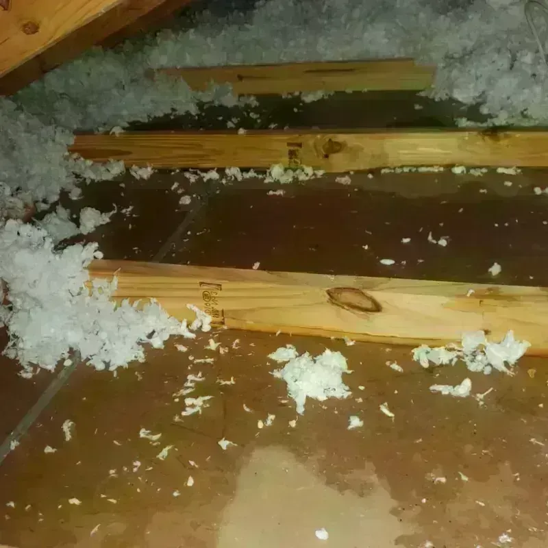 Attic Water Damage in Olton, TX