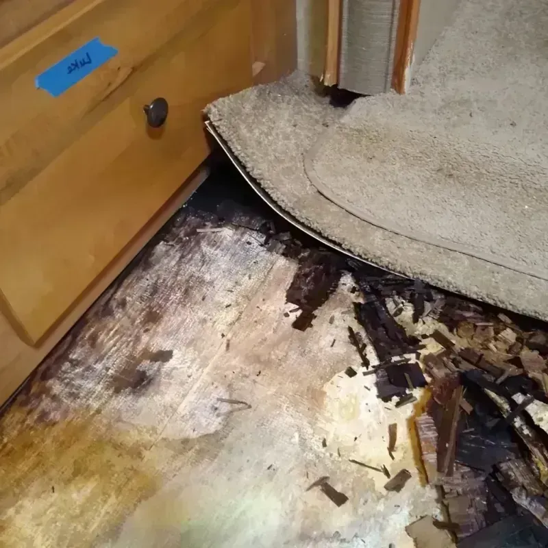 Wood Floor Water Damage in Olton, TX